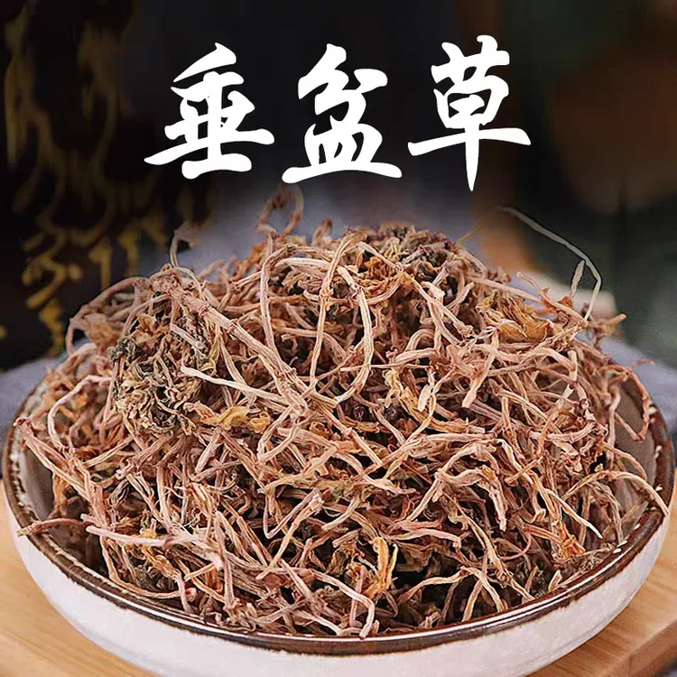 垂盆草正宗道地新货干货垂盆草狗牙草正品垂盆草搭配枸杞滋补养生