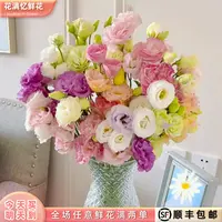 抢新品-次日达 -【混搭桔梗】1份鲜花鲜切花家居优选批发任意两单升级顺丰包邮三单送随机花瓶今天拍明天到19