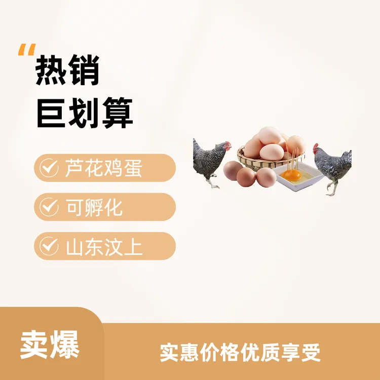 山东汶上芦花鸡土鸡蛋可孵化土鸡蛋受精率高散养土鸡