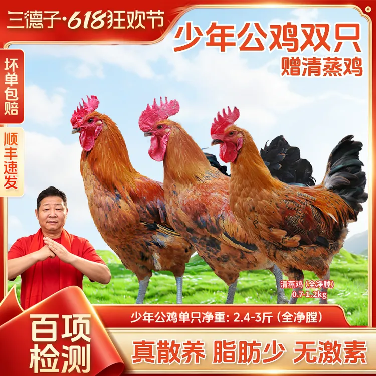三德子【生态土鸡3只】少年公鸡散养土鸡轻食优选走亲访友盐焗鸡商品图