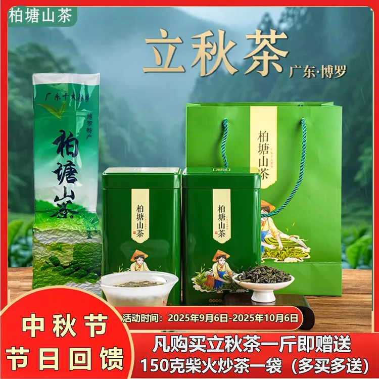 正宗柏塘山茶立秋茶茶婆手工炒茶柴火客家炒青绿茶客家博罗特产