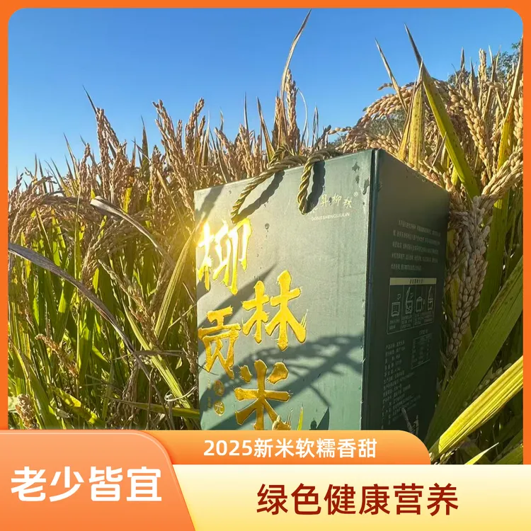 2025年新米！正宗东港越光大米4.5Kg真空礼盒包装，软糯香甜有嚼劲