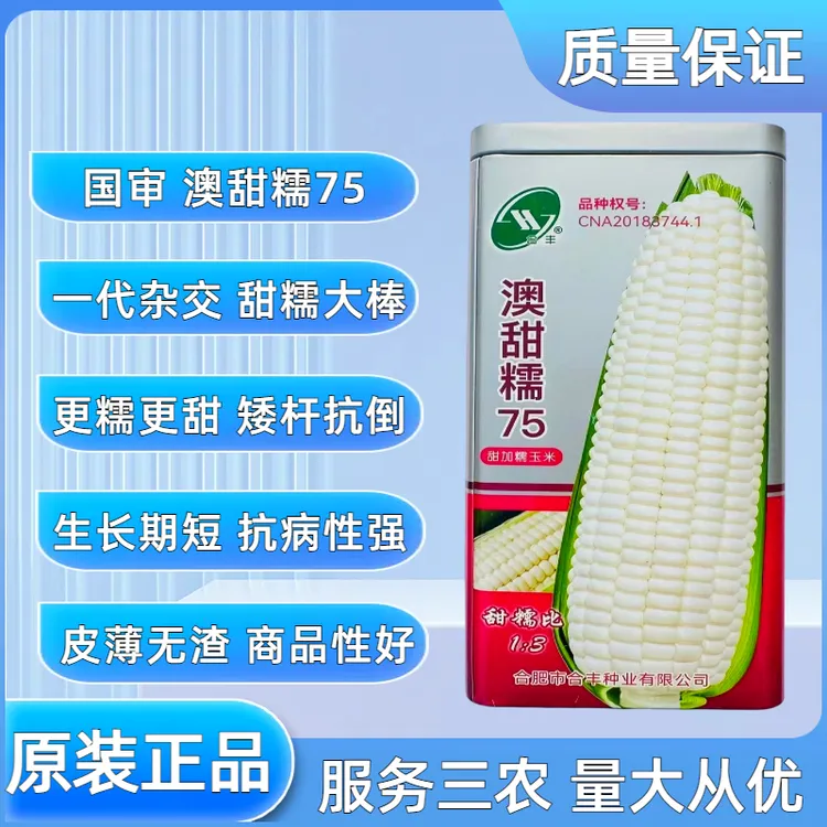 原厂【正品授权】四大区国审白甜糯玉米种子矮杆大棒田园基地种植