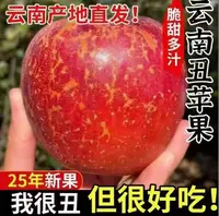 2025年云南昭通高原丑苹果当季水果脆甜现摘苹果