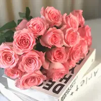 【戴安娜/粉玫瑰】任意拍两单送配草三单送花瓶 云南鲜花基地直发