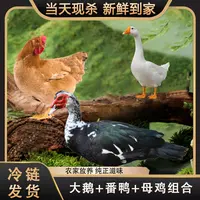 【小张】1只2斤老母鸡+1只4斤番鸭+1只5斤大鹅到手共3只 净重11斤
