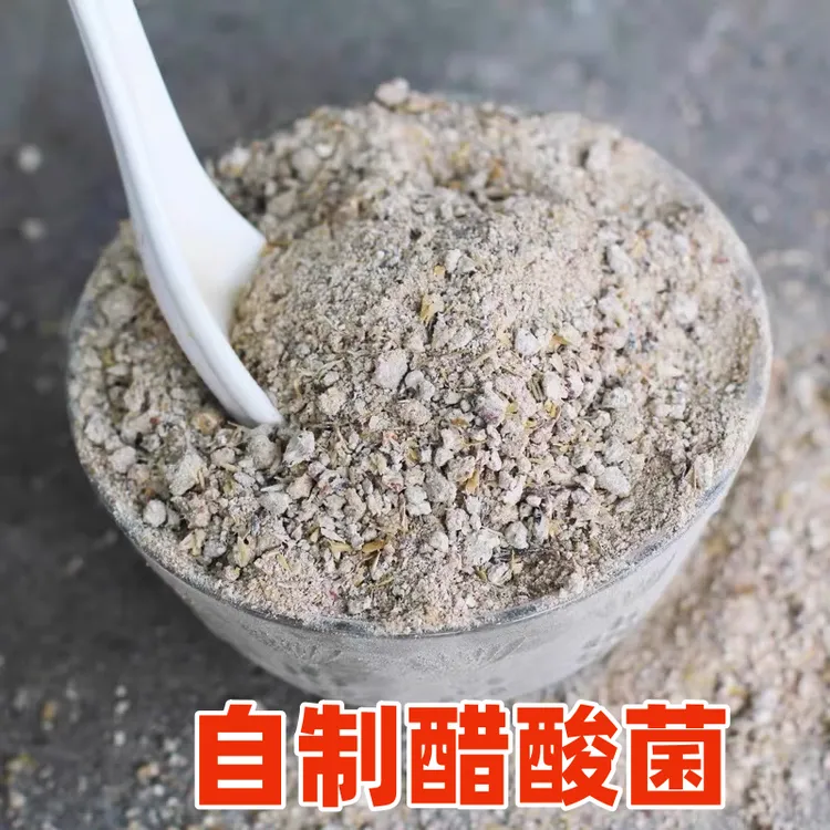 醋曲做醋用的醋酸菌酿醋曲醋曲粉清香型老醋专用曲醋引子酿造曲种