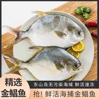 福建东山岛新鲜速冻金鲳鱼6-7两/条 肉质鲜嫩产地直供
