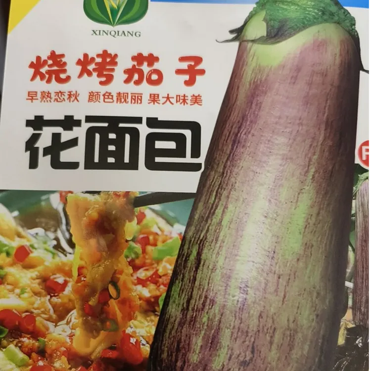 烧烤茄子籽/花面包茄子种子/花茄子种子