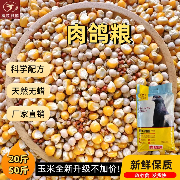 精英鸽粮 肉鸽粮 有玉米肉鸽专用饲料20斤50斤