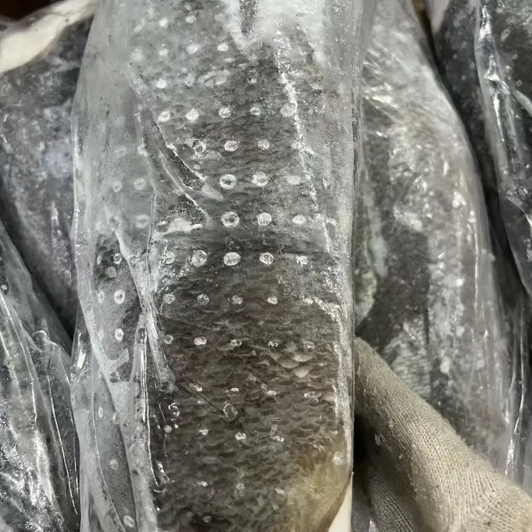 法国银鳕鱼正宗南极犬牙鱼整条称重3-4kg