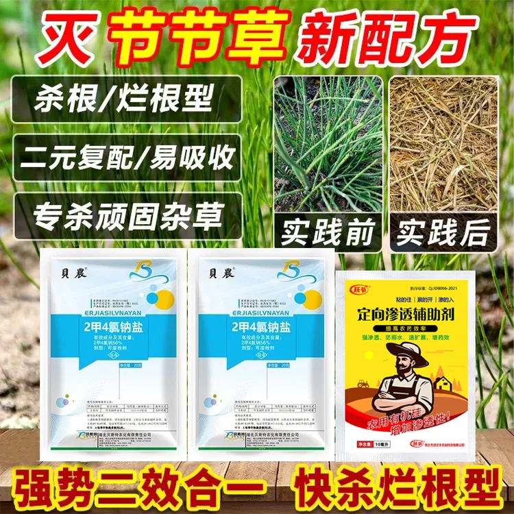 【商城专属】节节草克星烂根剂杀连根除草节节草除草配方套装