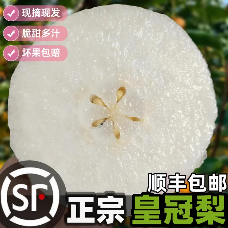 【顺丰】正宗皇冠梨当季新鲜梨子脆甜多汁水果产地直发整箱批发雪梨