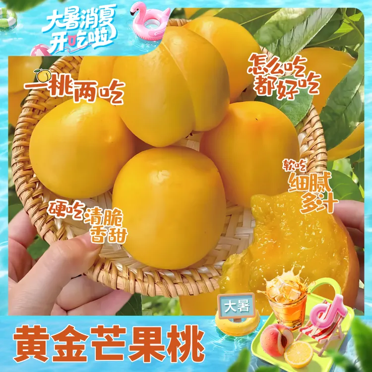 【顺丰包邮】芒果桃山地黄金蜜桃表皮无毛现摘现发