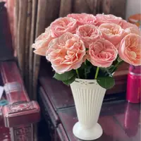 【云舍花卉】【夏日恋情】单头玫瑰 全场任意满两单及以上鲜花包邮