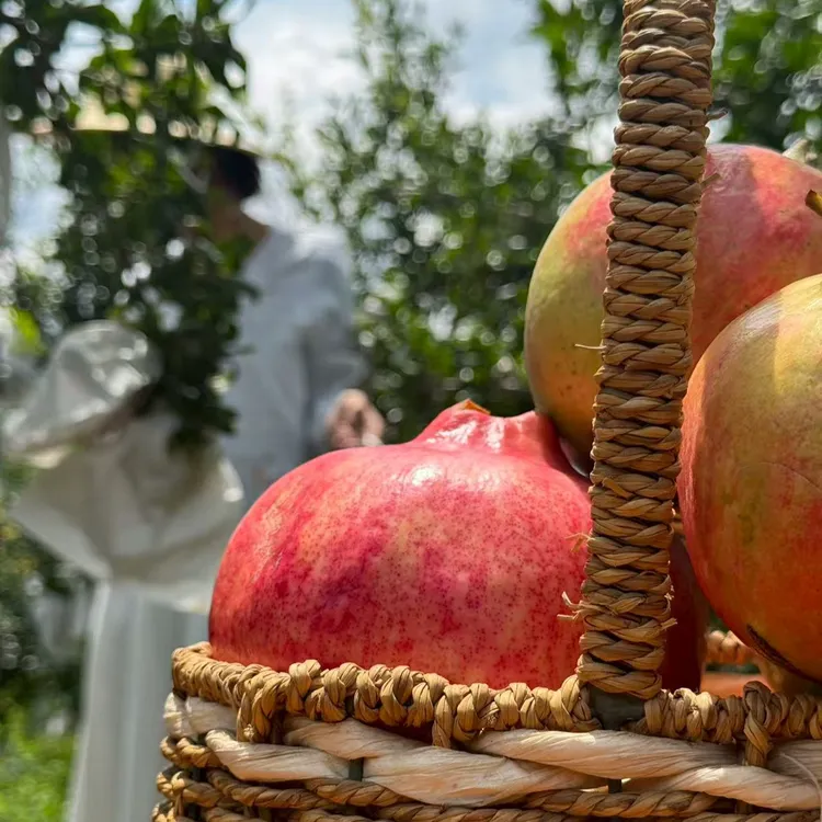 【顺丰包邮】四川会理软籽石榴新鲜采摘爆甜多汁当季水果