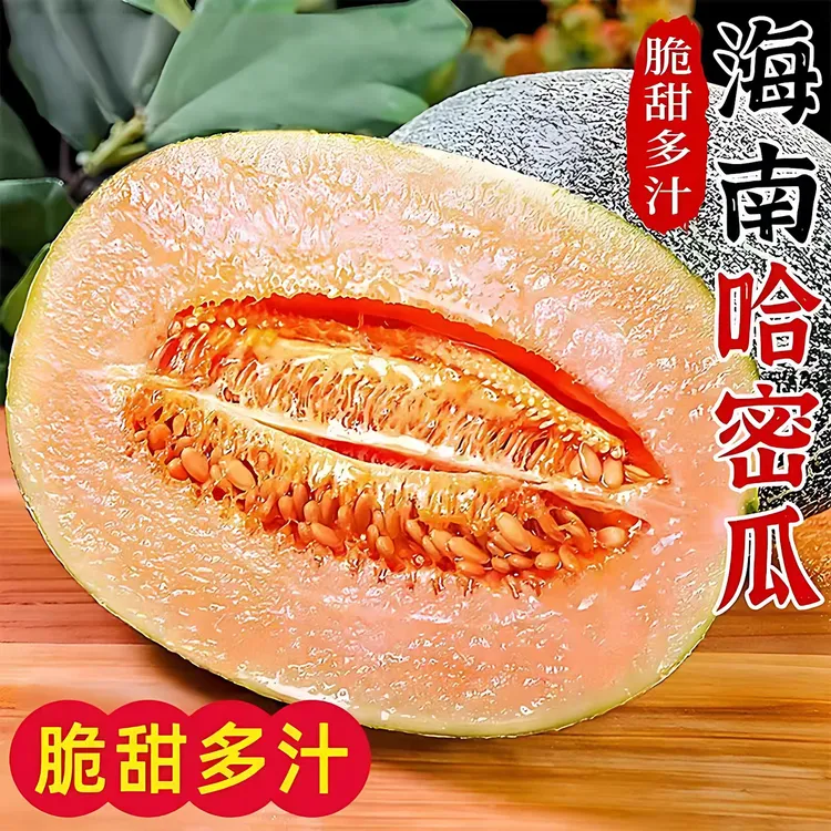 正宗海南哈密瓜当季新鲜水果现摘脆甜网纹瓜西州蜜香瓜老汉瓜整箱