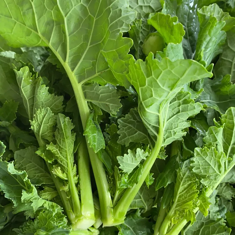 四川霜打油菜心油菜尖油菜苗农家自种新鲜生态时令蔬菜清香回甜