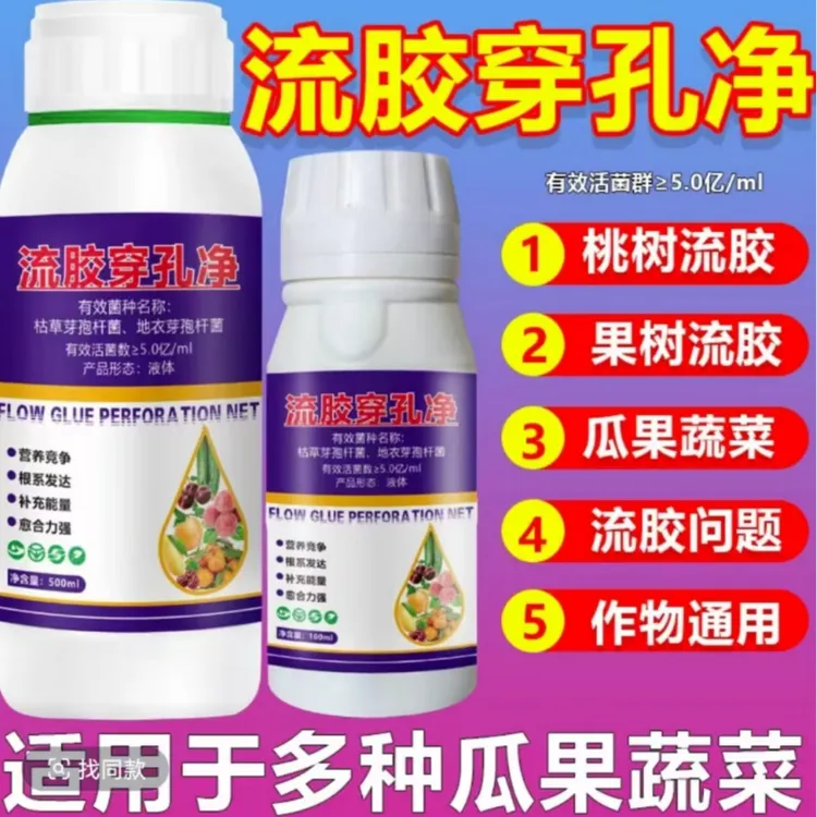 流胶净桃树李子杏树黄瓜专用微生物菌剂