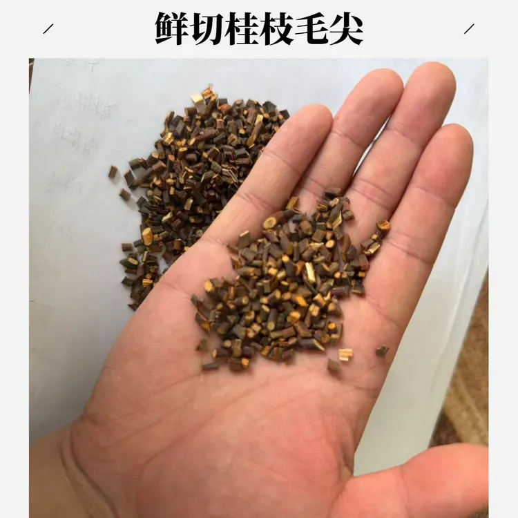 广西特级桂枝尖新鲜无硫精选肉桂桂枝汤用料