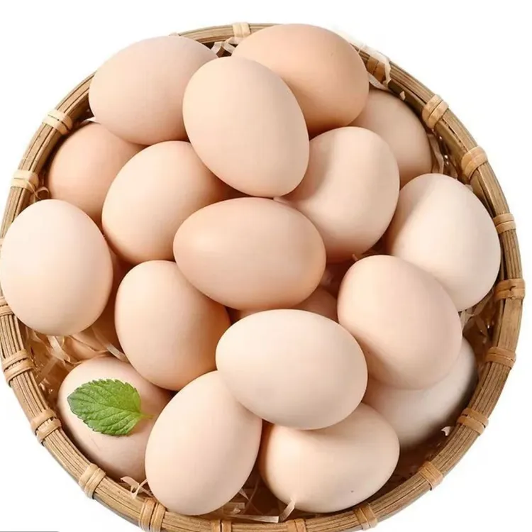 农家散养新鲜生态土鸡蛋  50枚粉壳包邮