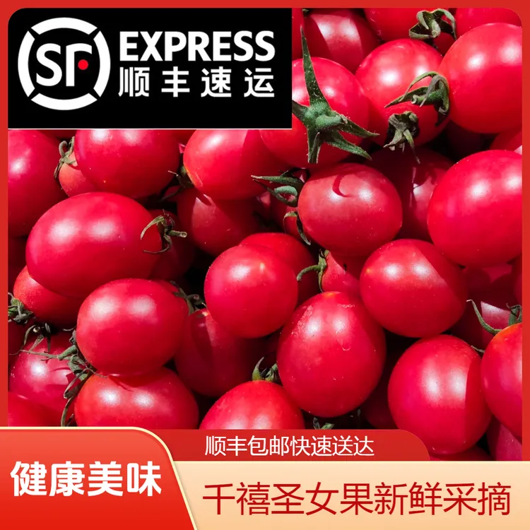 控糖水果应季果正宗山东千禧圣女果小番茄现摘现发顺丰/京东包邮