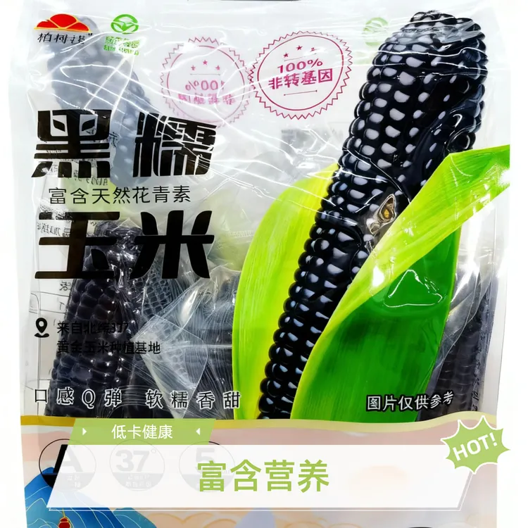 山西晋南黄土地黑糯玉米