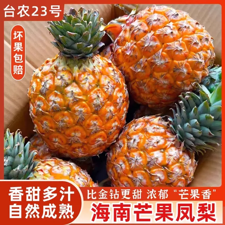 海南芒果凤梨新鲜水果台农23号当季香甜菠萝手撕无眼