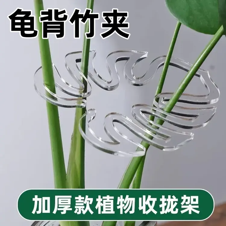 龟背竹支撑杆花支撑架枝干收拢架植物防倒伏支架绿植固定爬藤花架