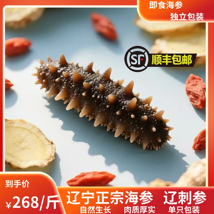 即食海参 辽刺参葫芦岛特产真空包装深海品质顺丰包邮