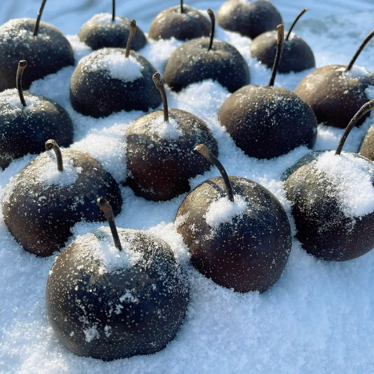 东北冻梨特产水果当季大黑梨苹果梨整箱冻秋梨3斤5斤包邮