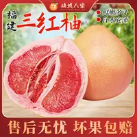 【峡城人家】福建红心柚子三红柚5/9斤装Q