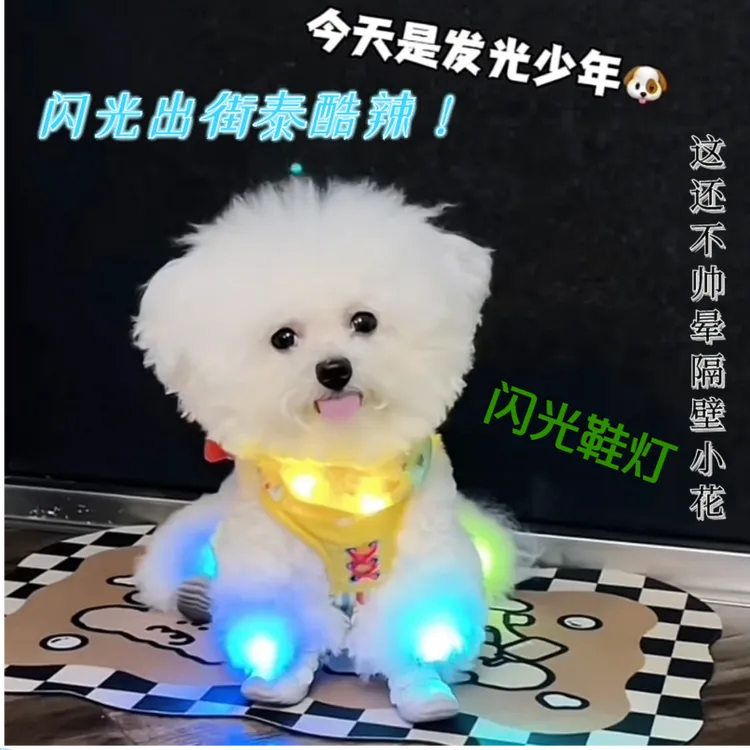 狗狗跑步灯宠物发光鞋灯比熊泰迪项圈灯胸背夜灯夜间遛狗防丢鞋灯