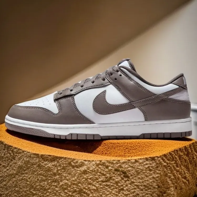 NIKE/耐克【流光风】男子DUNK  LOW 时尚运动板鞋子HF5441111