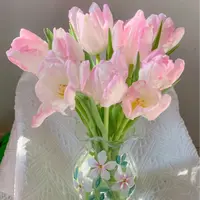 【云舍花卉】方德【双鱼座】郁金香 全场任意满两单及以上鲜花包邮