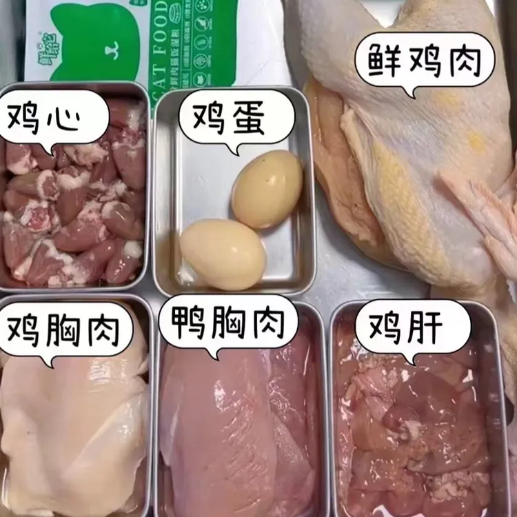 鲜给它鲜制猫饭全猫种全价湿粮新鲜营养增肥发腮猫粮猫饭猫龄通用