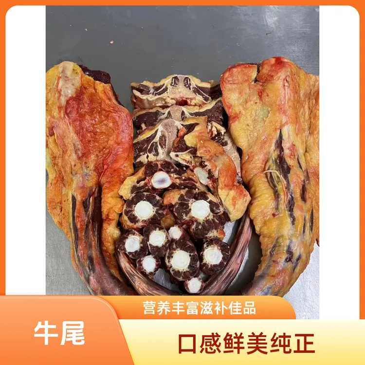 呼伦贝尔鲜切牛尾/冷冻牛尾真空包装鲜嫩发货
