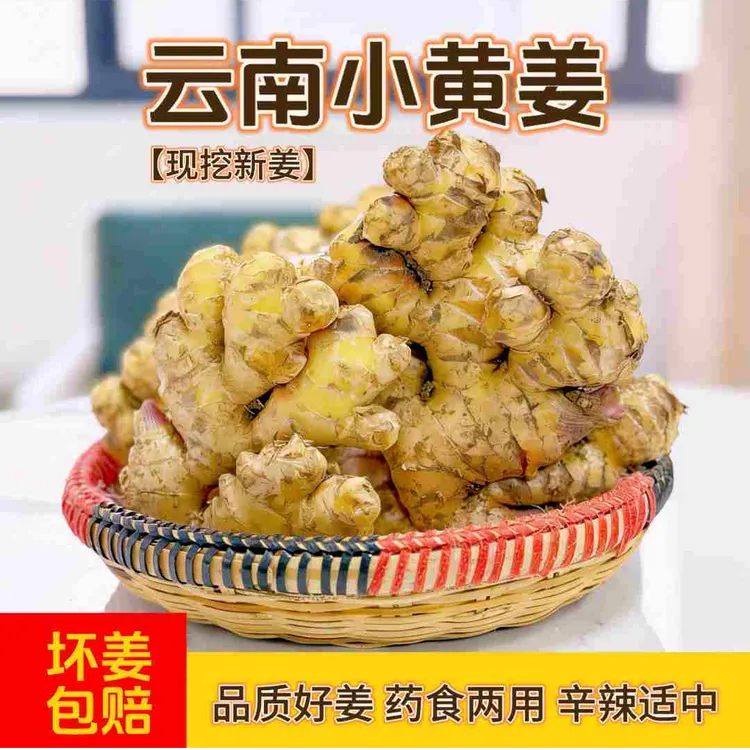 高山小黄姜现挖山地新鲜辛辣适中新鲜调味正宗时令生鲜优质蔬菜