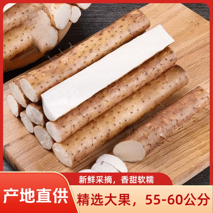 【55-60公分】河南正宗铁棍山药新鲜现挖 营养丰富 香甜粉糯