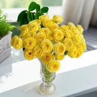 【云舍花卉】【米兰公主】多头玫瑰 全场任意满两单及以上鲜花包邮