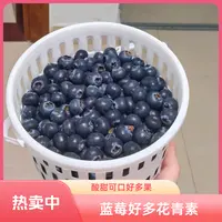 【姜婆甄选】好多花青素的蓝莓，酸甜可口花香云南省