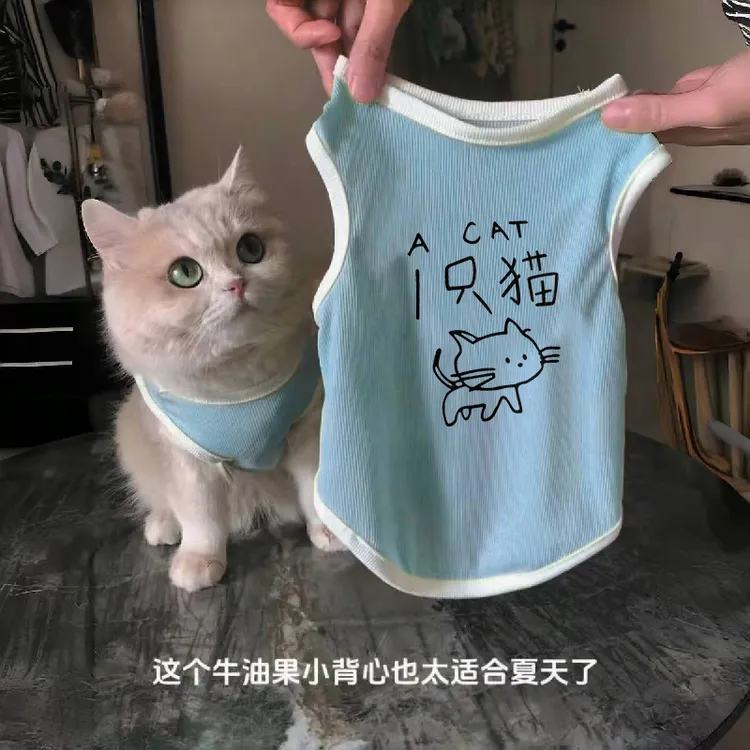 猫咪狗狗衣服春秋装清凉薄款透气可爱防掉毛宠物猫银渐层清凉背心