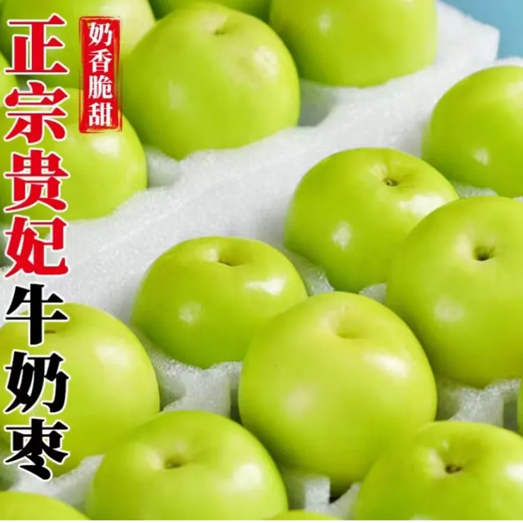 正宗福建漳州贵妃枣牛奶枣脆甜多汁新鲜应季水果产地直发