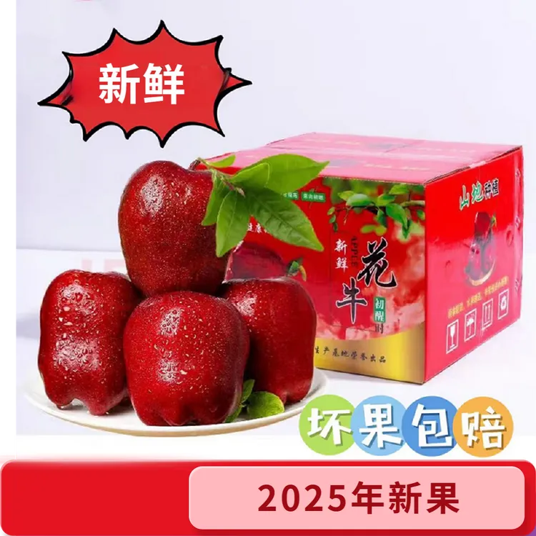 （顺丰包邮）正宗甘肃天水花牛苹果4.5-9斤新鲜采摘脆甜现摘现发