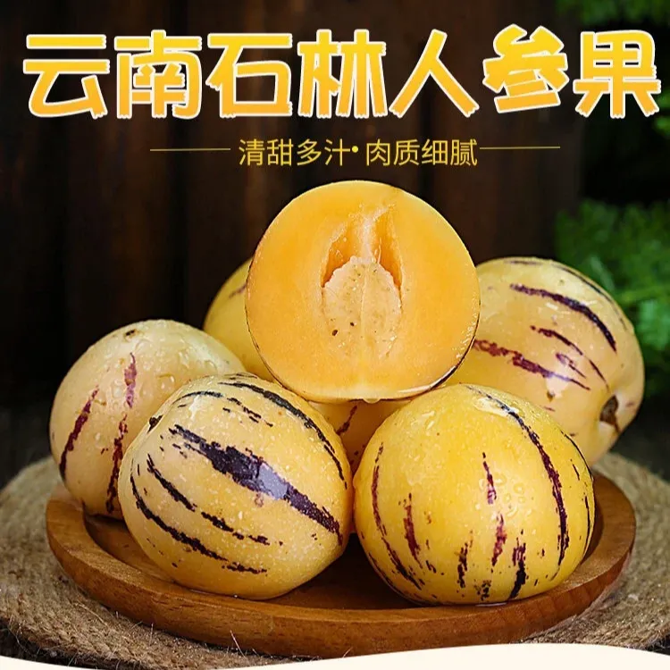 【石林人参果】树上熟黄肉新鲜水果应季爽口多汁新鲜采摘3/5斤装