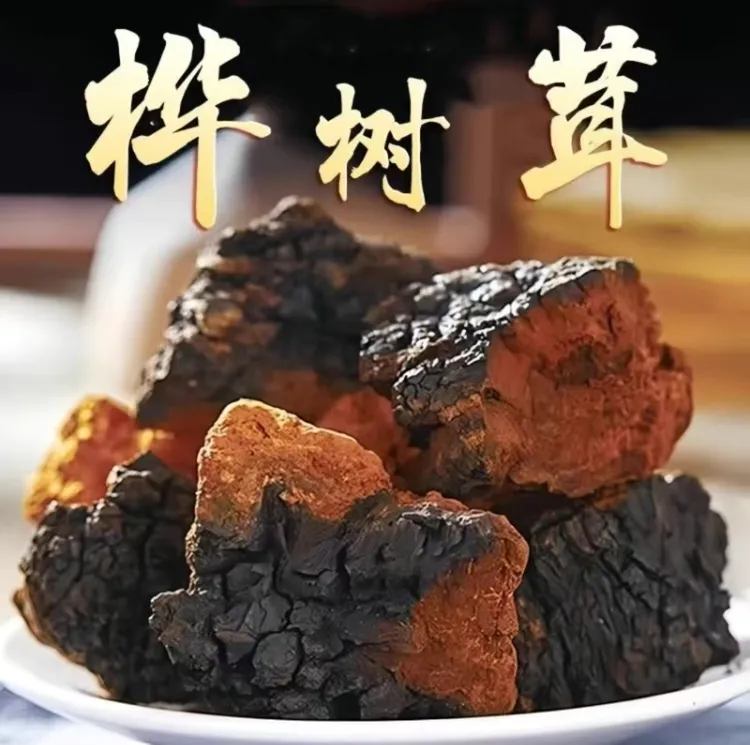  霍哥滋补 【桦树茸】