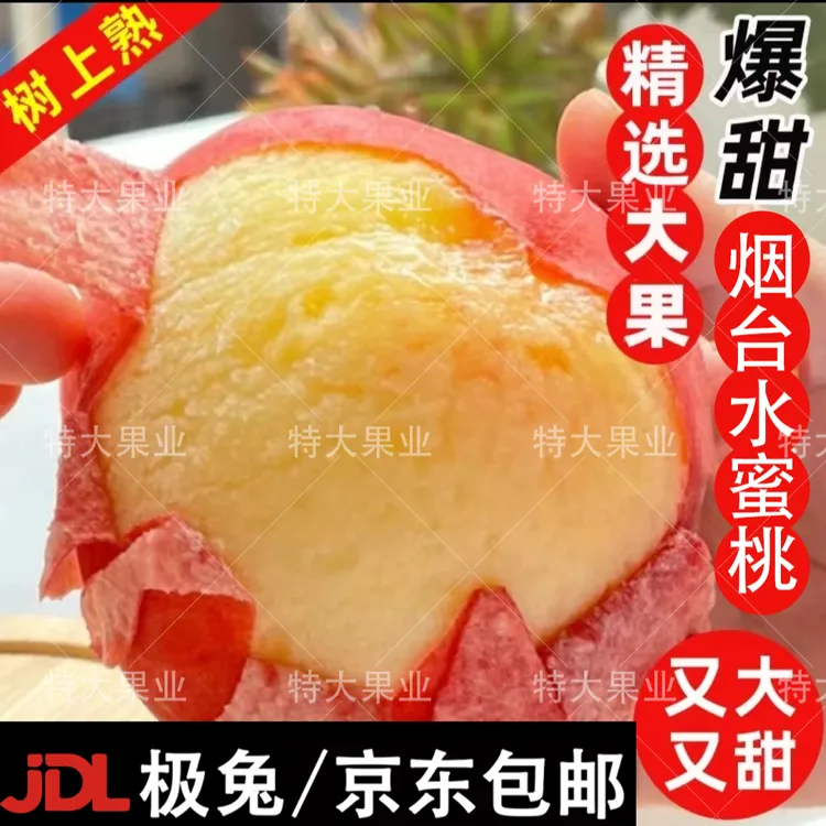 【极兔/京东包邮普通装】烟台昆嵛山御桃当季现摘桃香味果园直发
