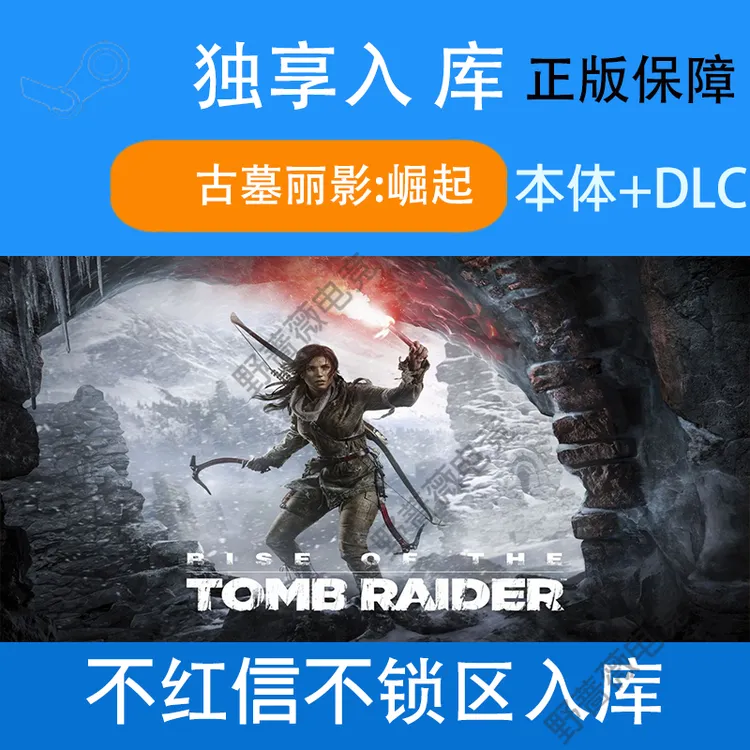 古墓丽影:崛起 古墓丽影崛起 全dlc steam 电脑入库