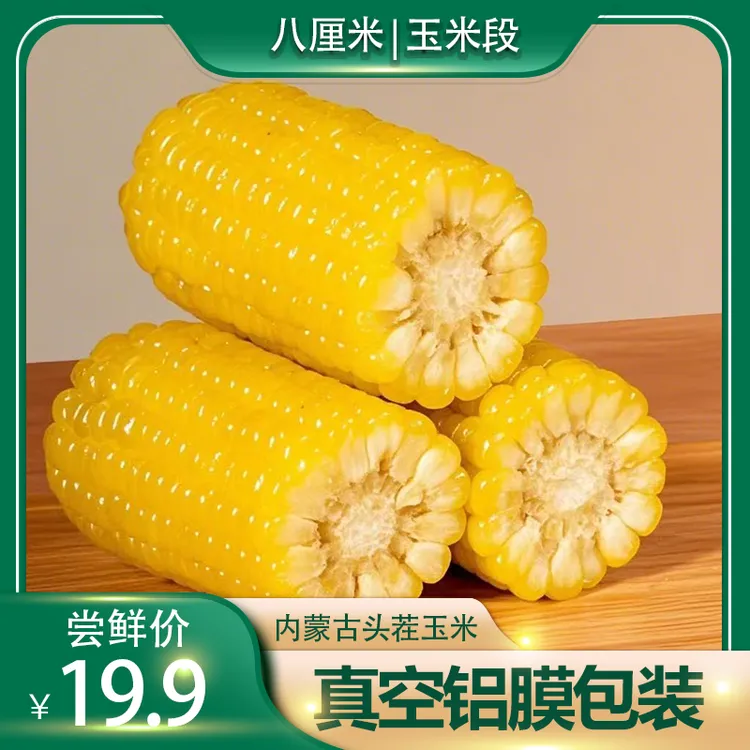 内蒙古黄糯玉米独立真空包装甜糯玉米段八厘米玉米代餐速食食品