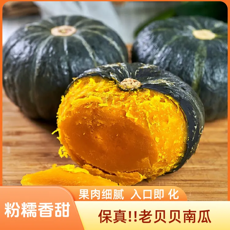 【假一赔十】真正宗老贝贝粉糯香甜板栗味新鲜应季宝宝一号南瓜